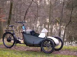 Hunde-Lastenrad mit Neigetechnik und Turbo-Motor