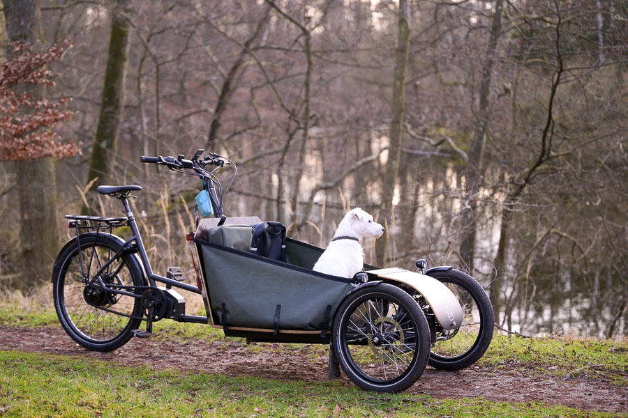 Dog Transporter Bike Seeblick