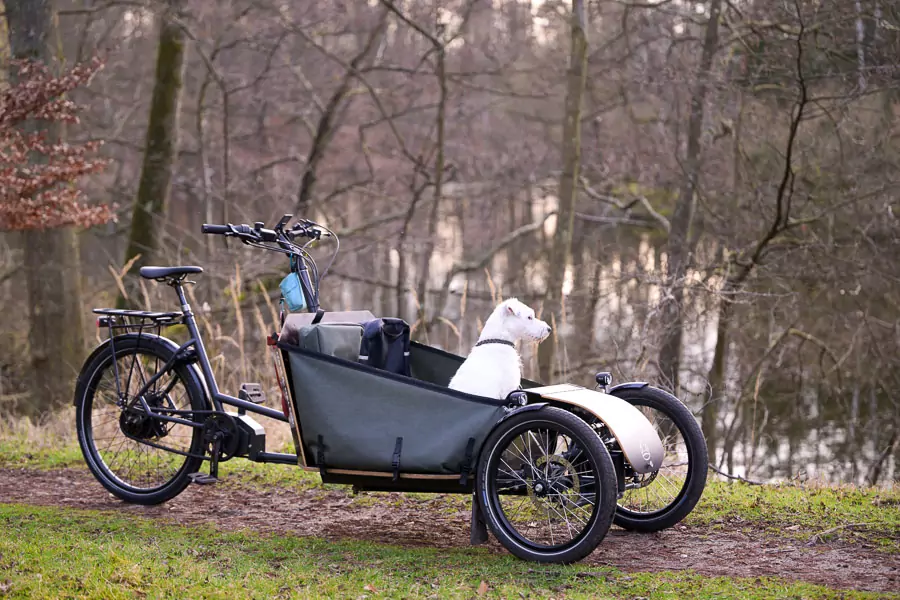 Hunde-Lastenrad mit Neigetechnik und Turbo-Motor