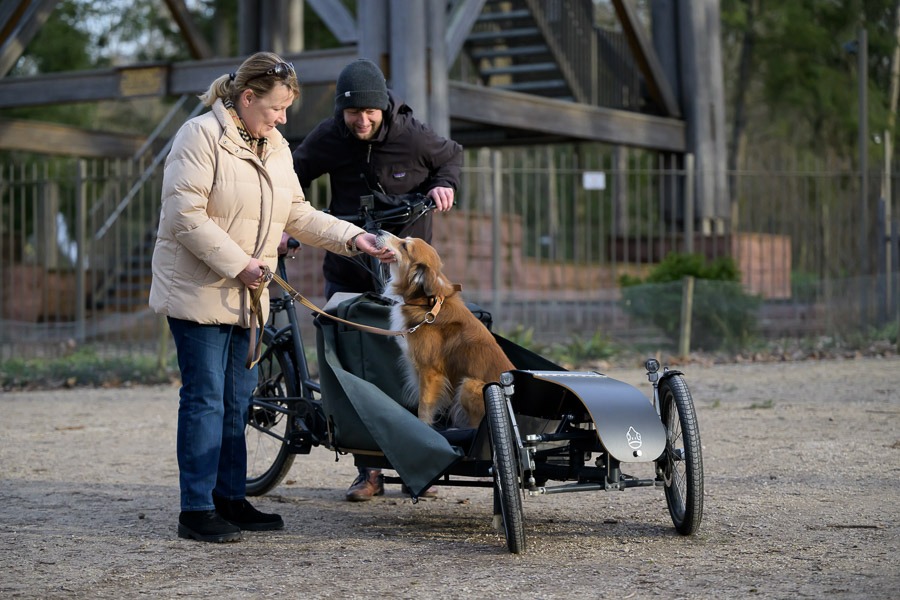 E-Lastenrad-fuer-Hunde-Dog-Transporter-Bike.jpg
