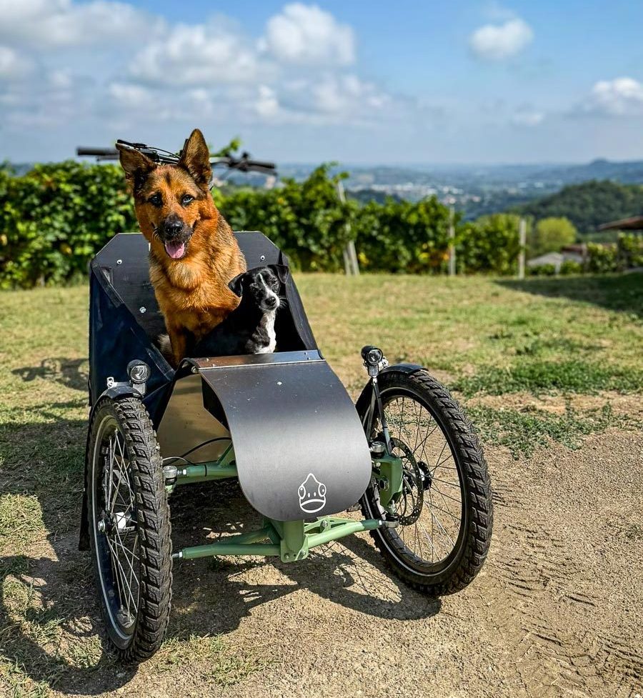 Hunde Lastenrad Dog Transporter Bike Hunde Lastenrad Dog Transporter Bike