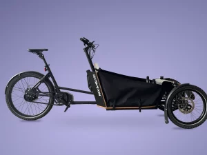Transporter Bike "Easy"