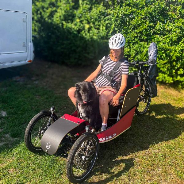 Cargo Bike für Erwachsene und Hunde