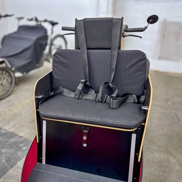 Passenger Bike erhöhte Rückenlehne 4 Punkt Gurt